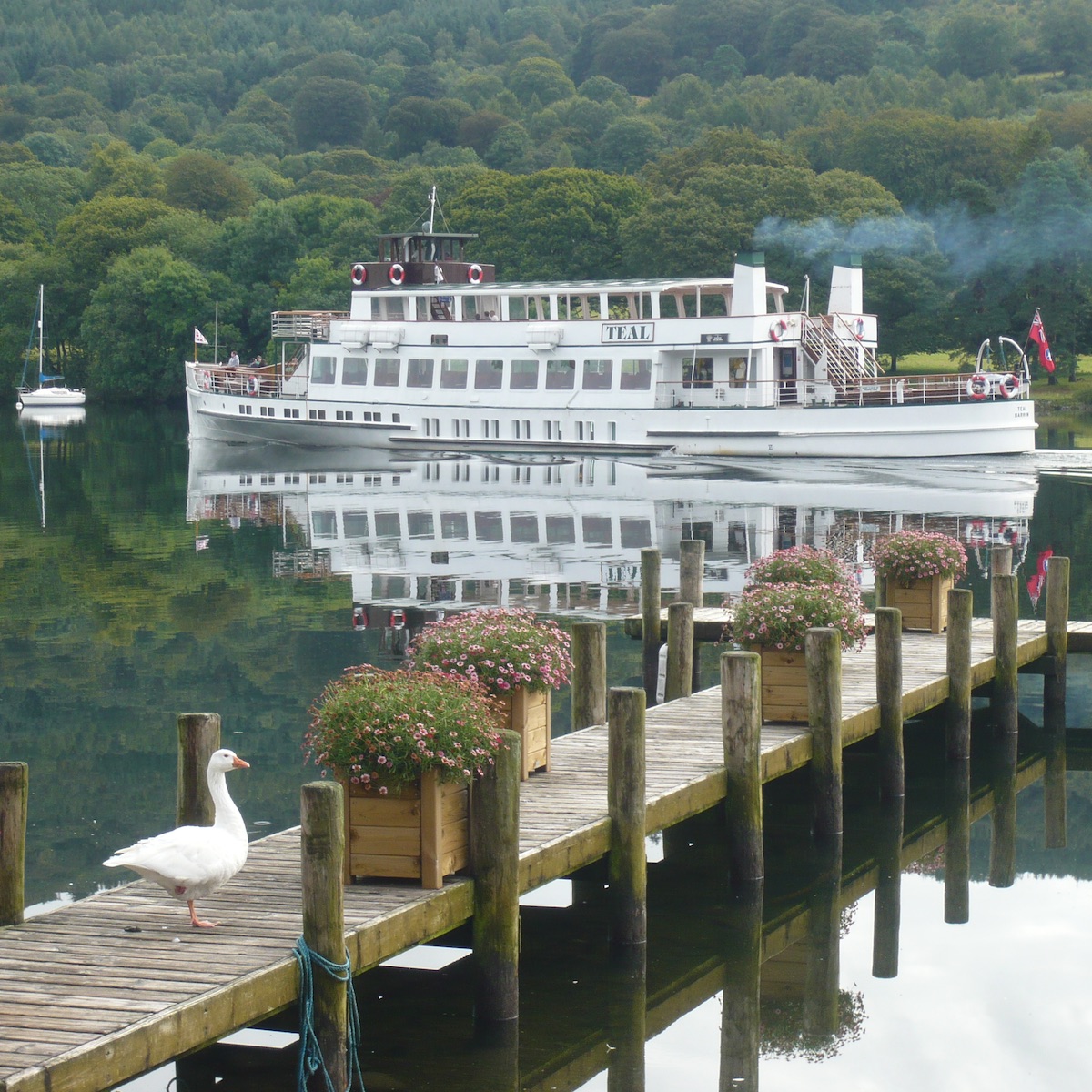 Windermere Lake Cruises - sq