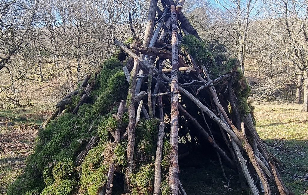 Bushcraft