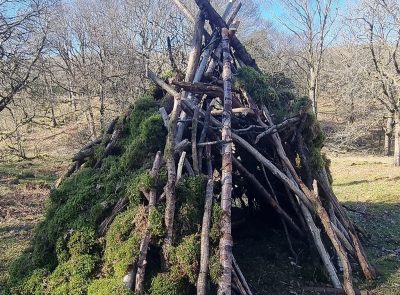 Bushcraft
