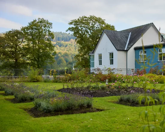 The roof-top spa garden with classic English country garden plants and flowers