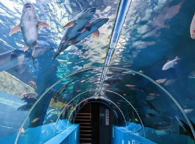 Lakes Aquarium