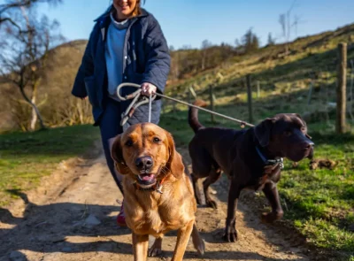 Woman walking two dog on Lake District path close to Lakeside Hotel