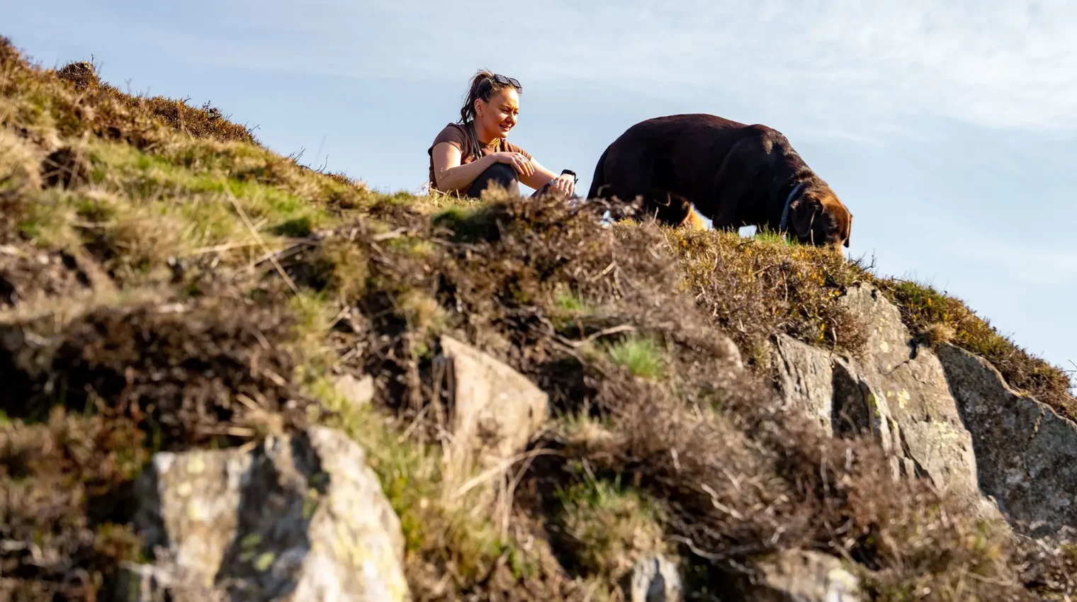 A woman sat with her dog at the top of a mountain, admiring the view