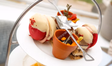 Black Friday - Afternoon Tea with a Complimentary Swim