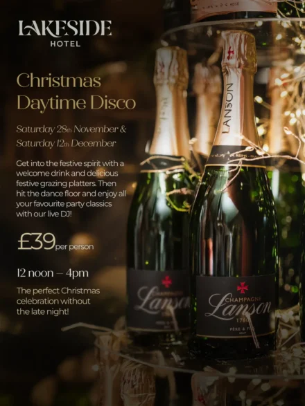 Christmas Daytime Disco