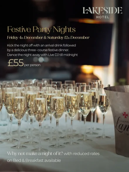 Festive Party Night